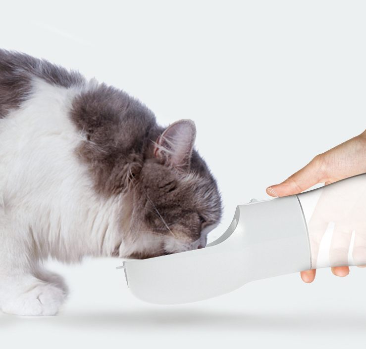 PawSip & Snack™ – Travel Bottle for Thirsty Tails.