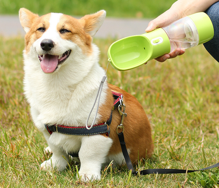 PawSip & Snack™ – Travel Bottle for Thirsty Tails.