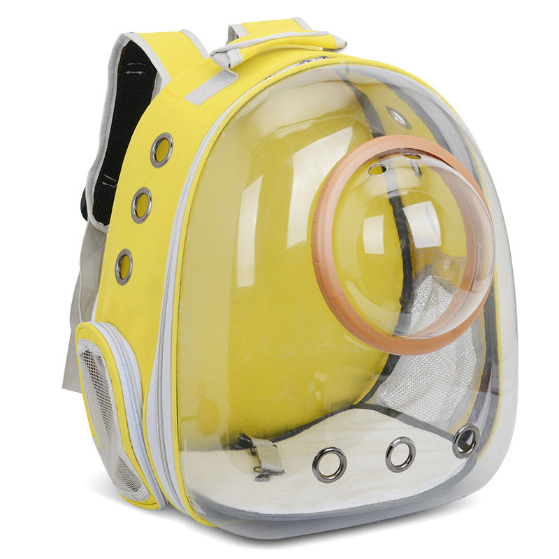 Travel in Style & Comfort – For Your Little Pawtners Who Deserve VIP Treatment!