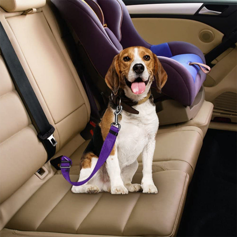 Keep your furry friend safe and snug on every car ride!