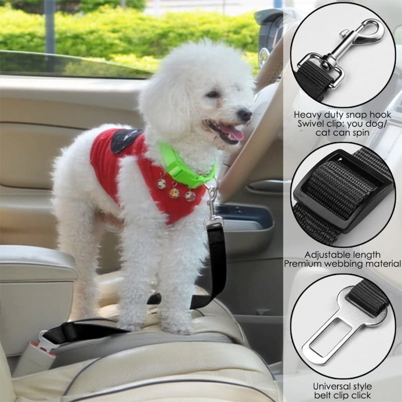 Keep your furry friend safe and snug on every car ride!