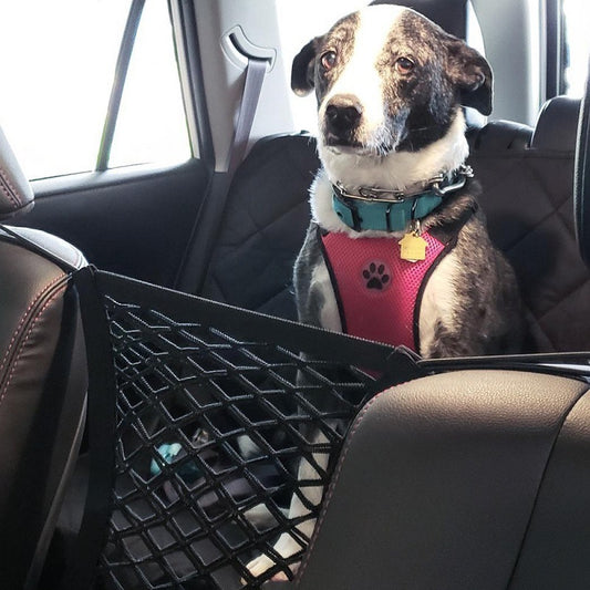 Pet Car Barrier Net – Rear Seat Safety Mesh for Dogs  and cats| Foldable & Universal Fit