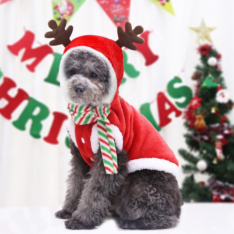 TailCraft’s Pawsome Christmas Costume – Furry Festive Fun for Your Little Reindeer!