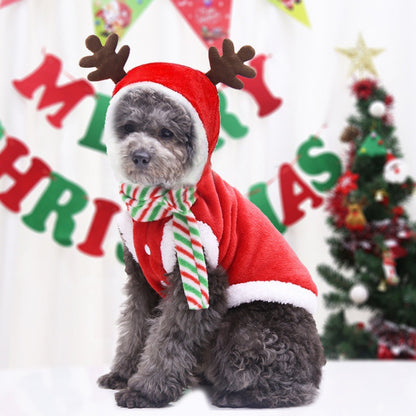 TailCraft’s Pawsome Christmas Costume – Furry Festive Fun for Your Little Reindeer!