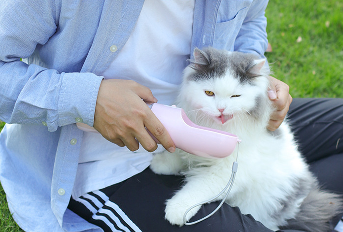 PawSip & Snack™ – Travel Bottle for Thirsty Tails.